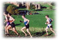 Home Page of Mid Lancs League.